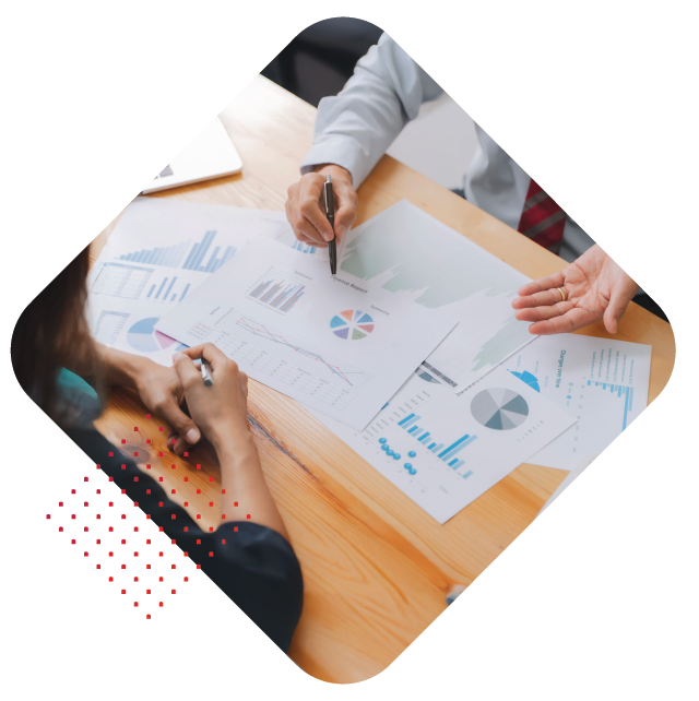 BHI_Web_Hero_Graphics-06-Professional-Svcs.png